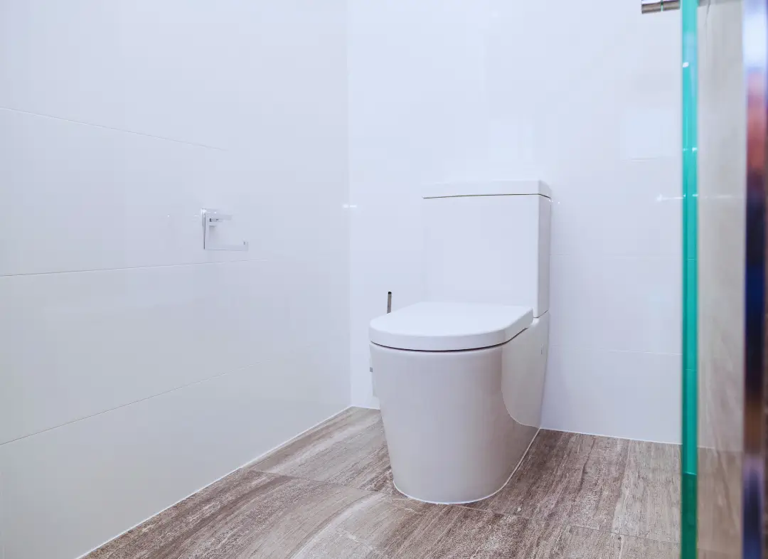 Remplacement de wc Tourrettes-sur-Loup